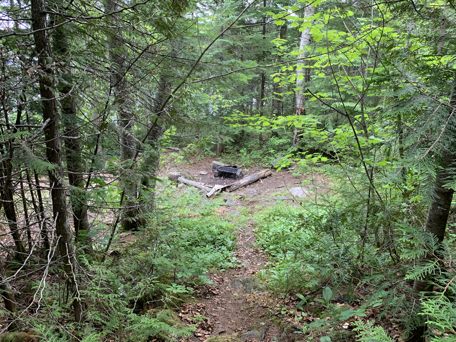 Misquah Lake Campsite 8