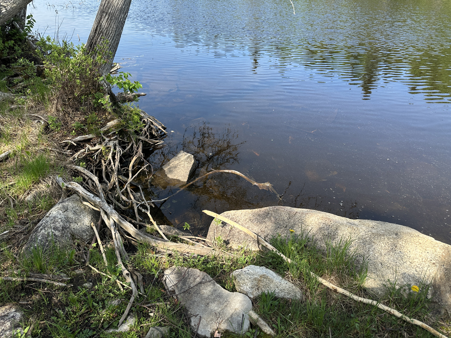 One Island Lake to Rush Lake Portage 2