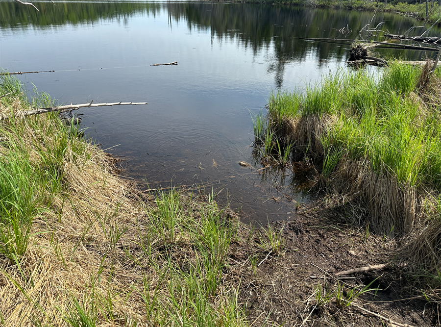 One Island Lake to Rush Lake Portage 4