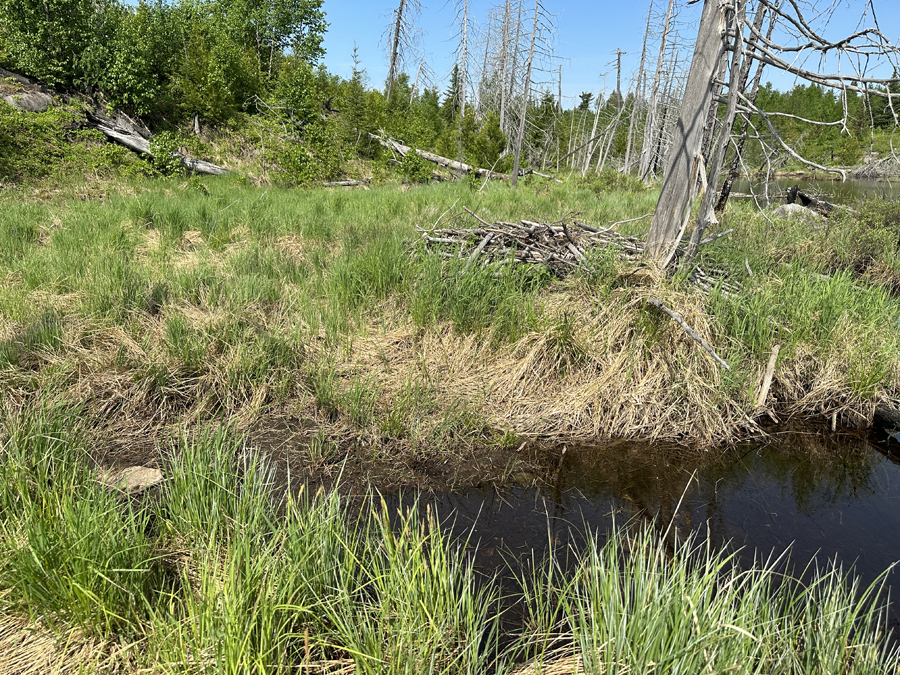 One Island Lake to Rush Lake Portage 1