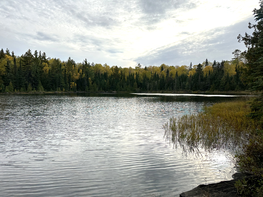 Pierz Lake 1
