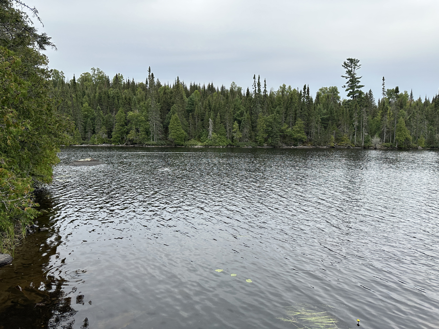 Pillsbery Lake Campsite 6