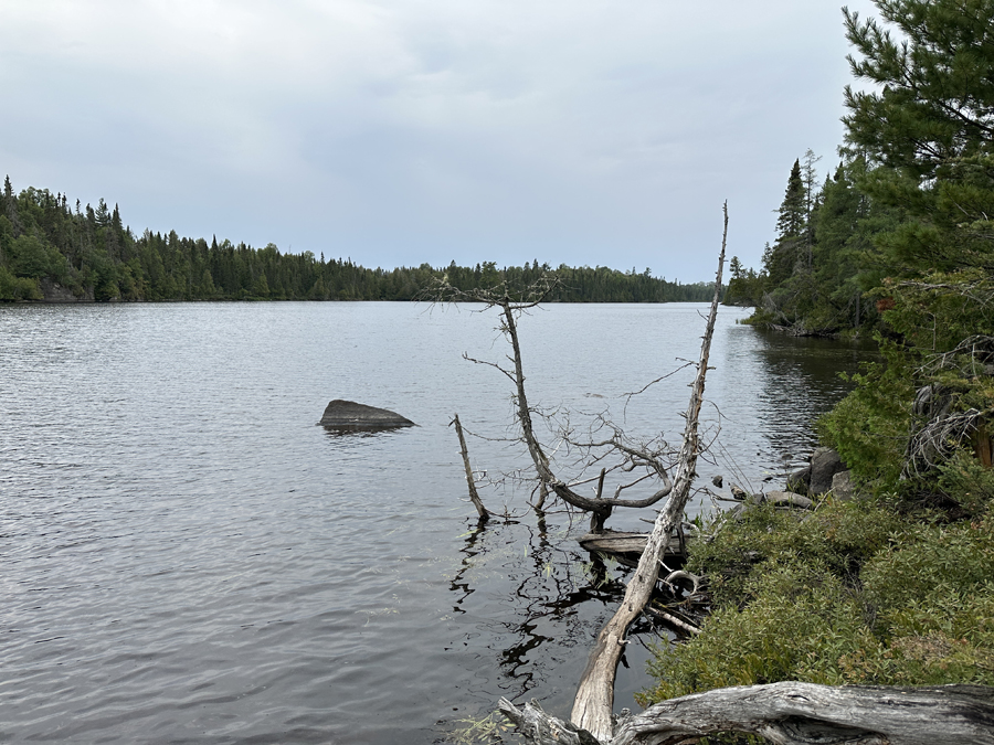 Pillsbery Lake Campsite 7