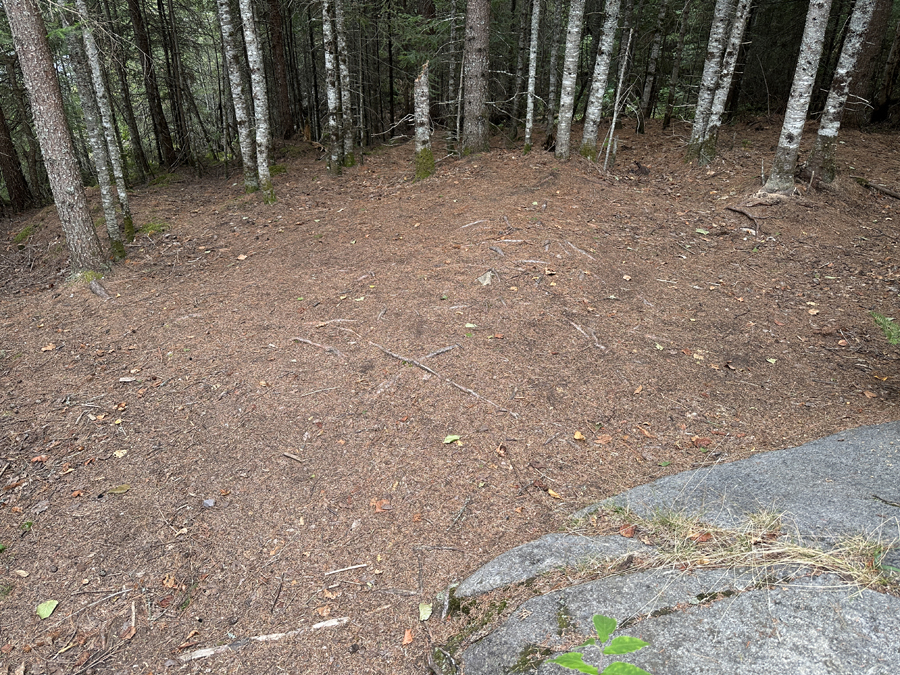 Pillsbery Lake Campsite 5