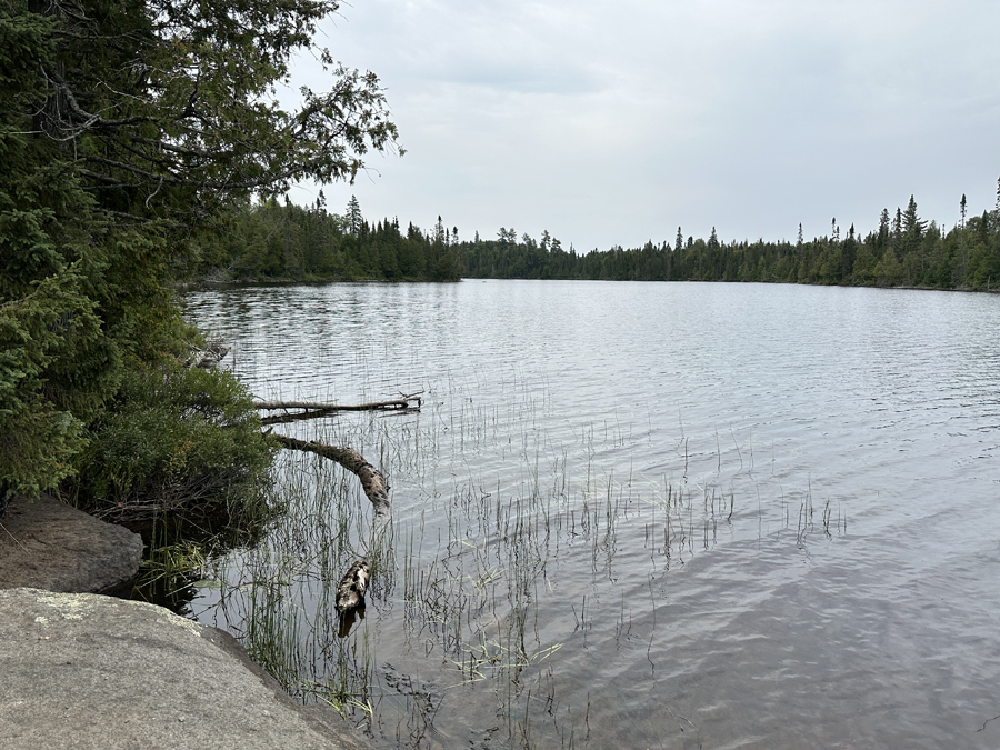 Pillsbery Lake Campsite 8