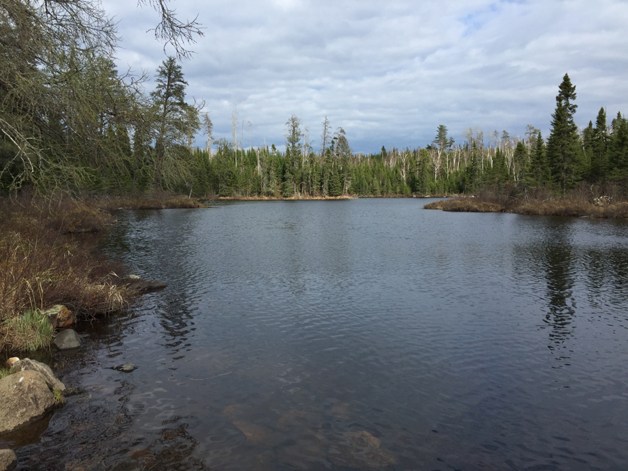 Cross Bay Lake to Rib Lake Portage 2