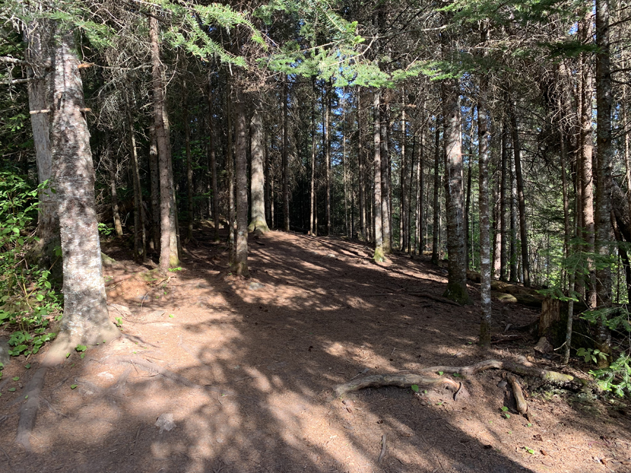 Rib Lake Campsite 6