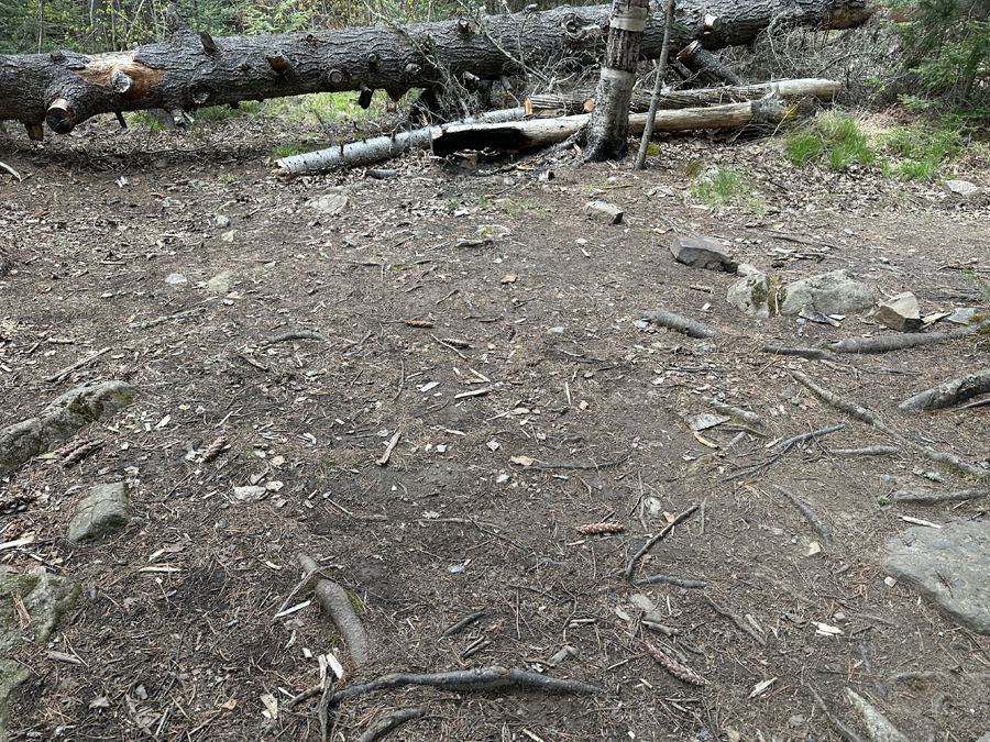 Rose Lake Campsite 4