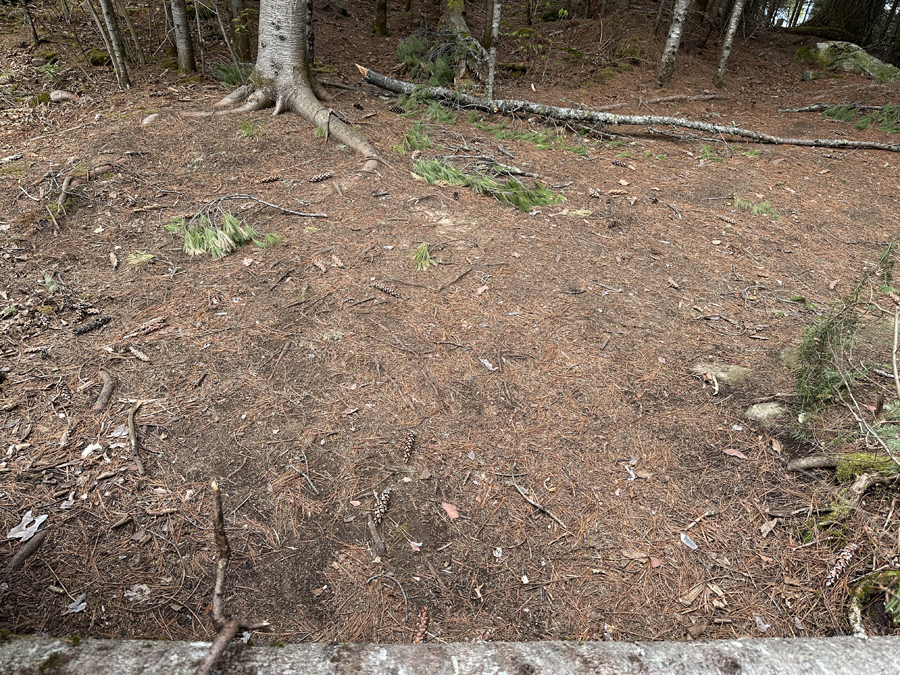 Rose Lake Campsite 7