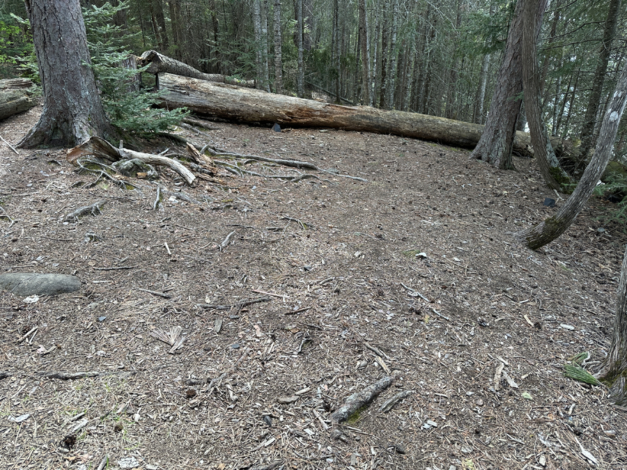 Rose Lake Campsite 6