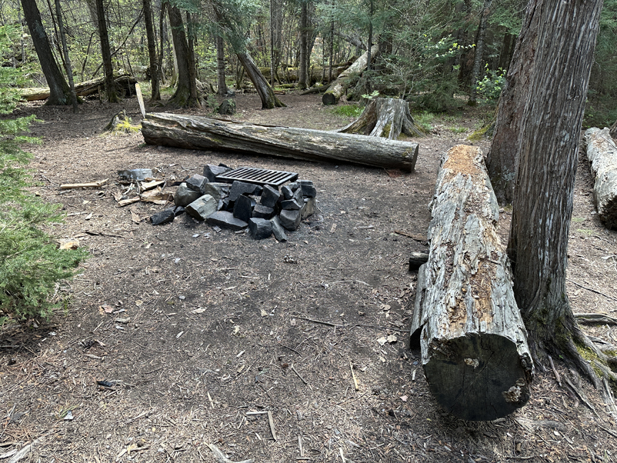 Rose Lake Campsite 3