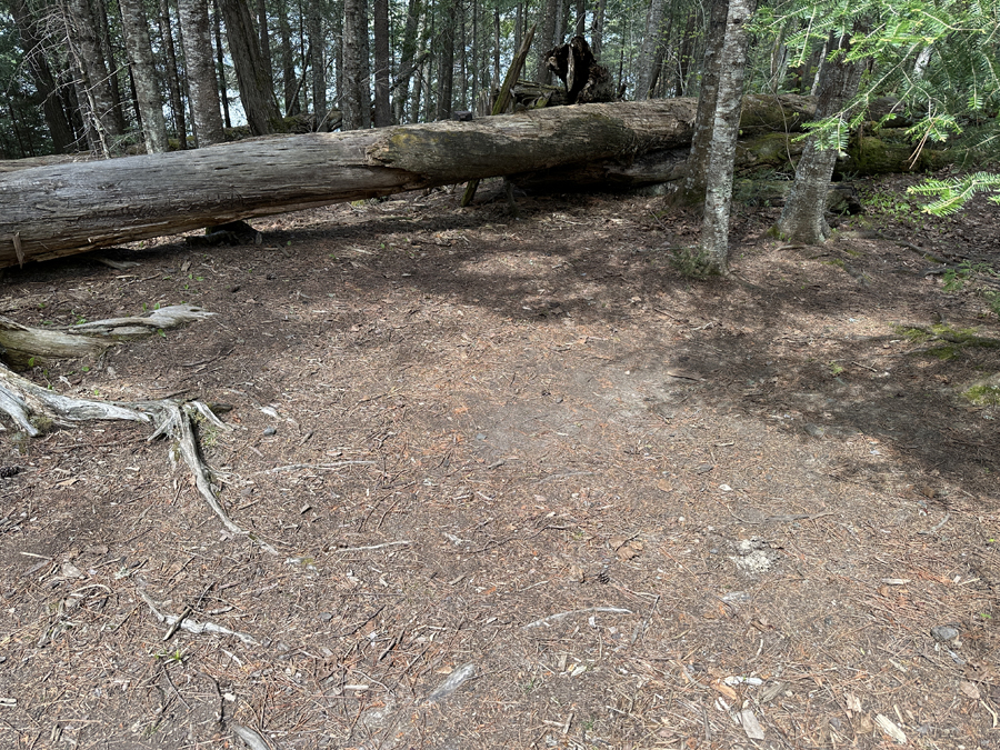 Rose Lake Campsite 7