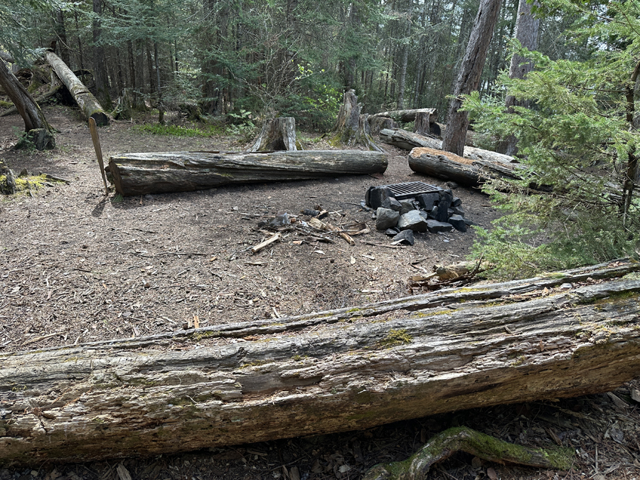 Rose Lake Campsite 4