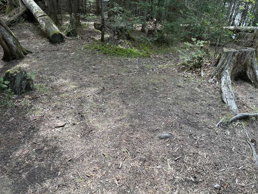 Rose Lake Campsite 9