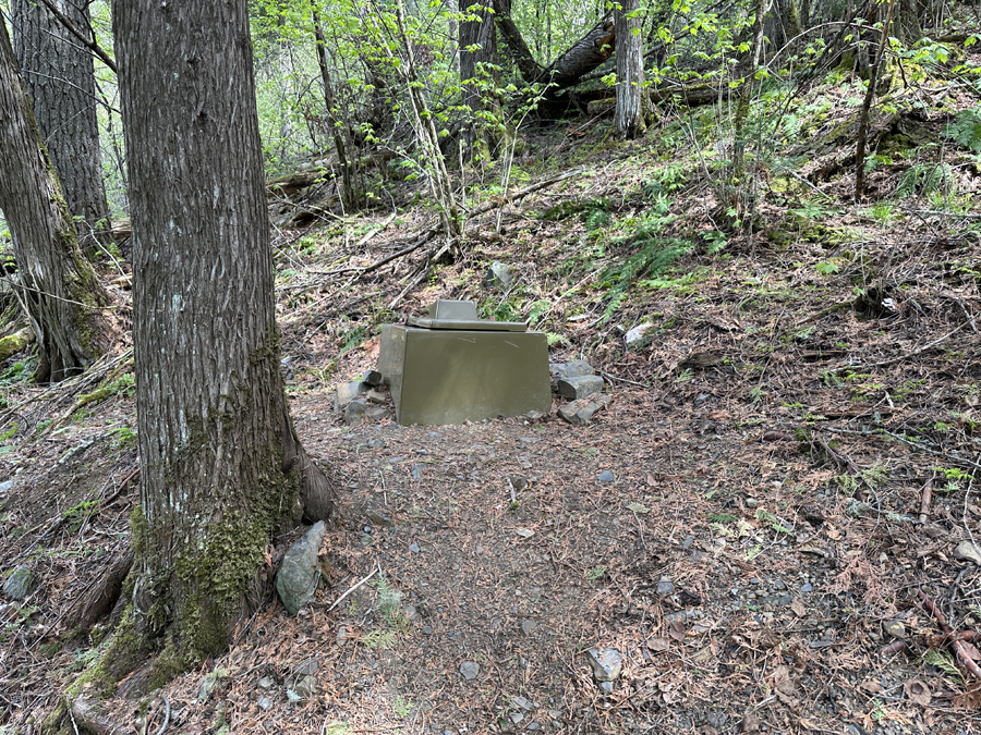 Rose Lake Campsite 11