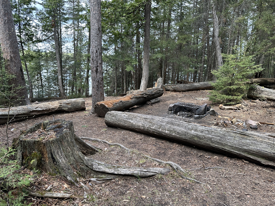 Rose Lake Campsite 5