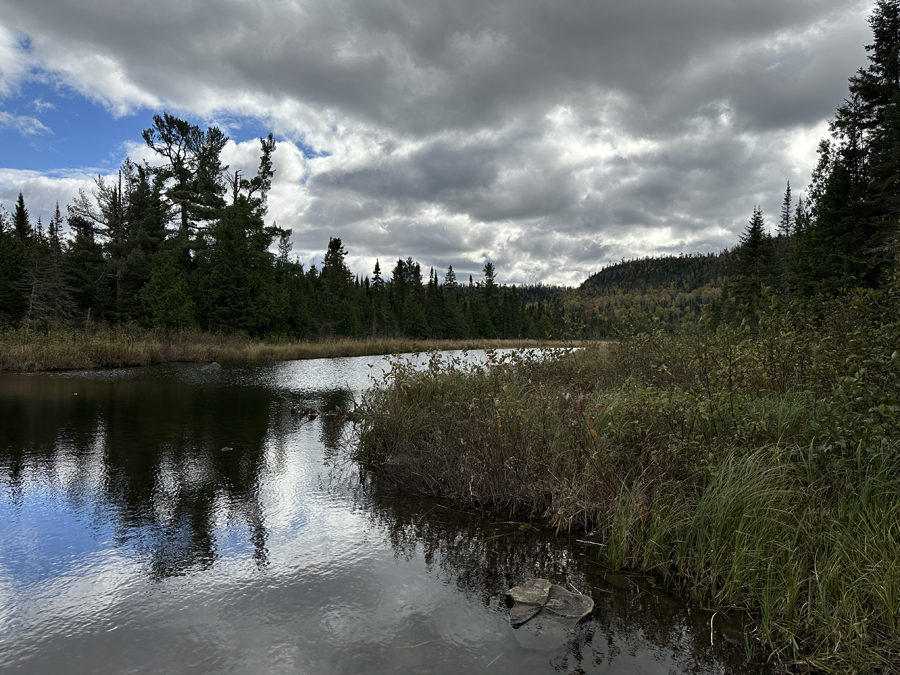 Royal River 1
