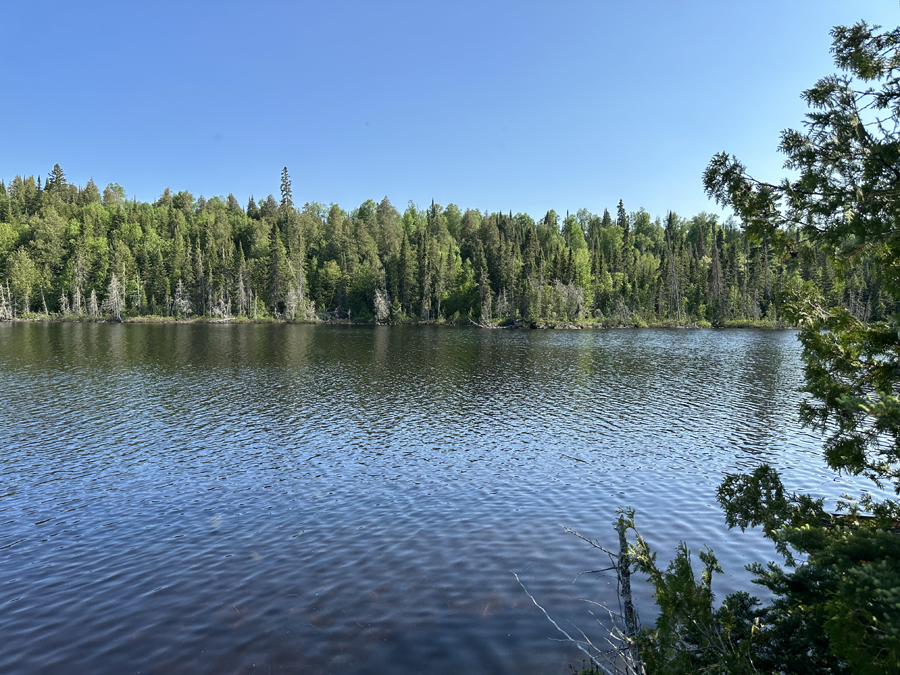 Rush Lake Campsite 8