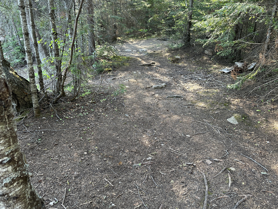 Rush Lake Campsite 5