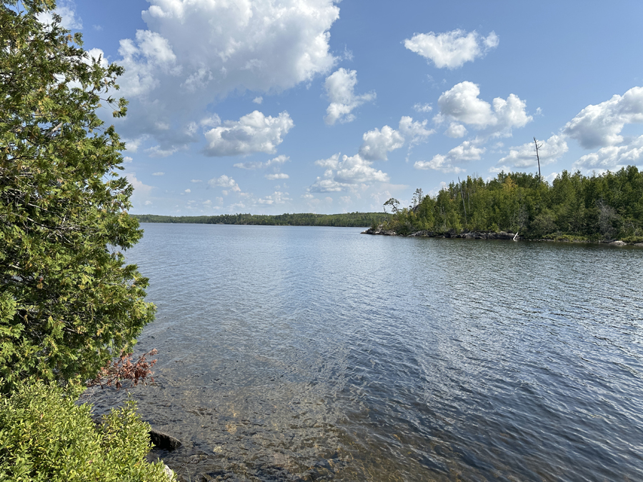 Sea Gull Lake Campsite 8