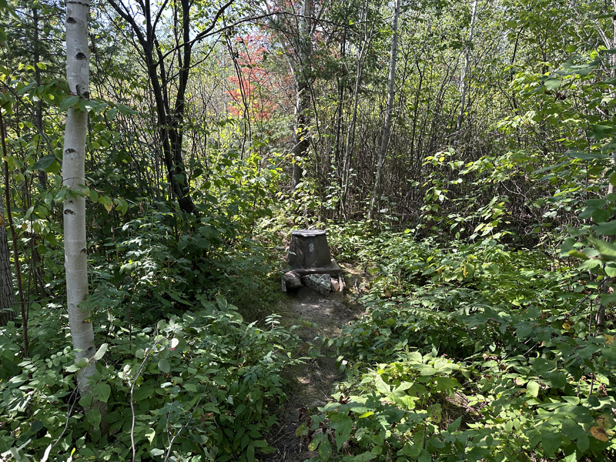 Sea Gull Lake Campsite 6