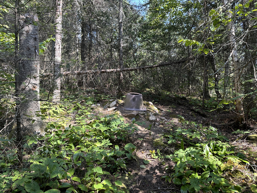 Sea Gull Lake Campsite 5