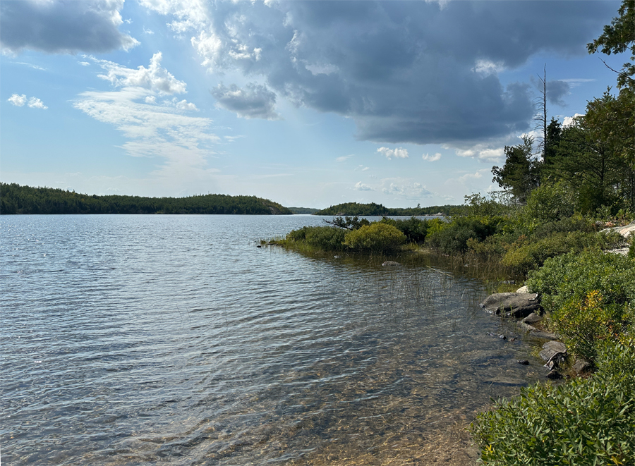 Sea Gull Lake Campsite 7