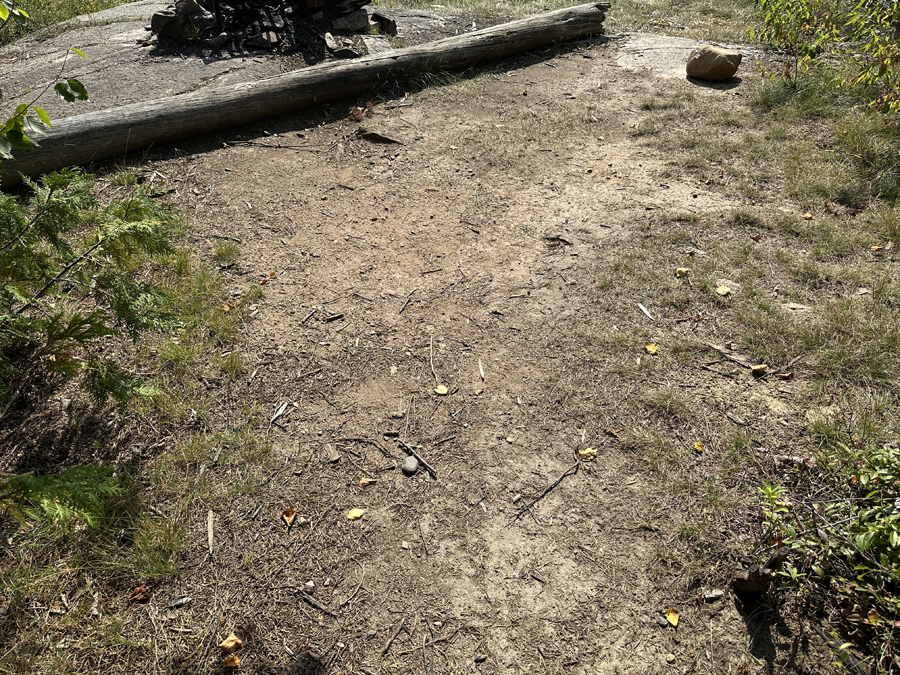 Sea Gull Lake Campsite 5