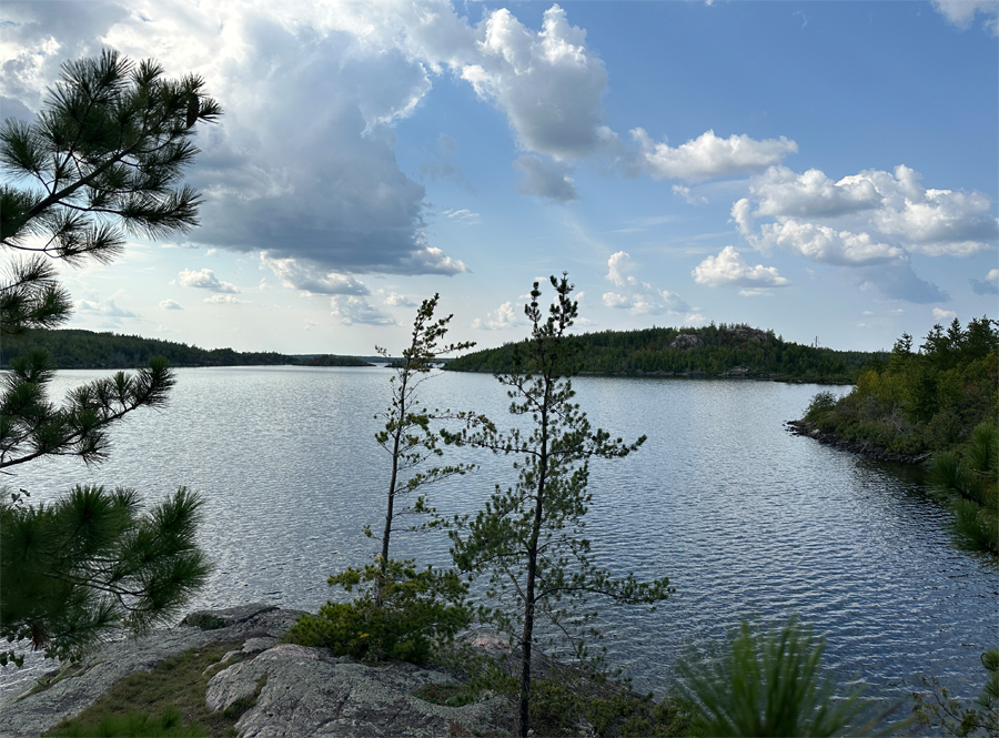 Sea Gull Lake Campsite 11