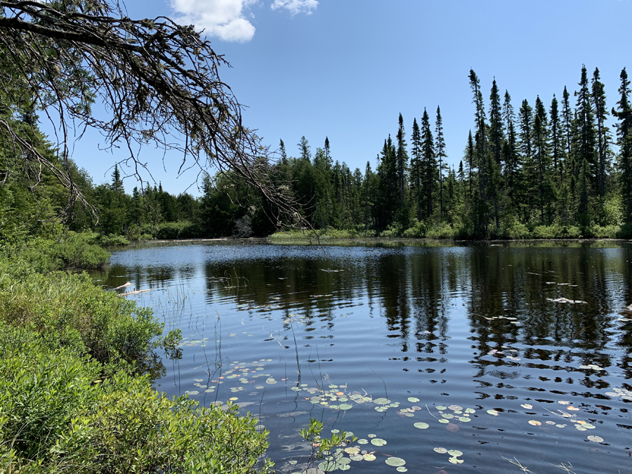 Skipper Lake 1