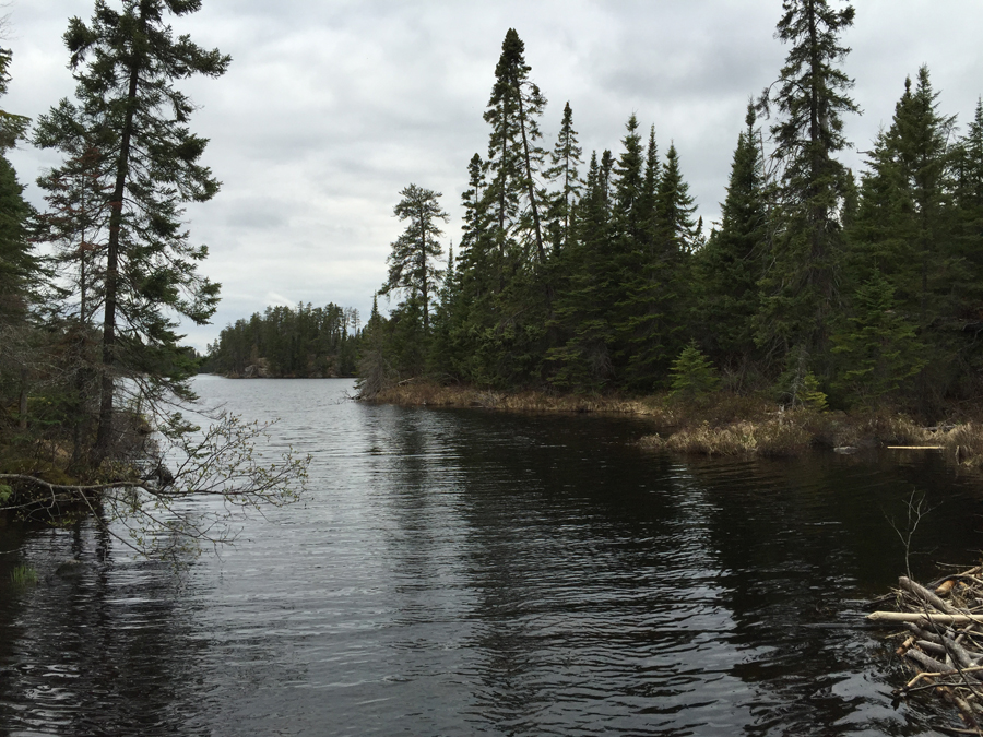 Cross Bay Lake to Snipe Lake Portage 2