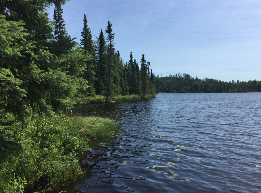 Missing Link Lake-Snipe Lake Portage 3