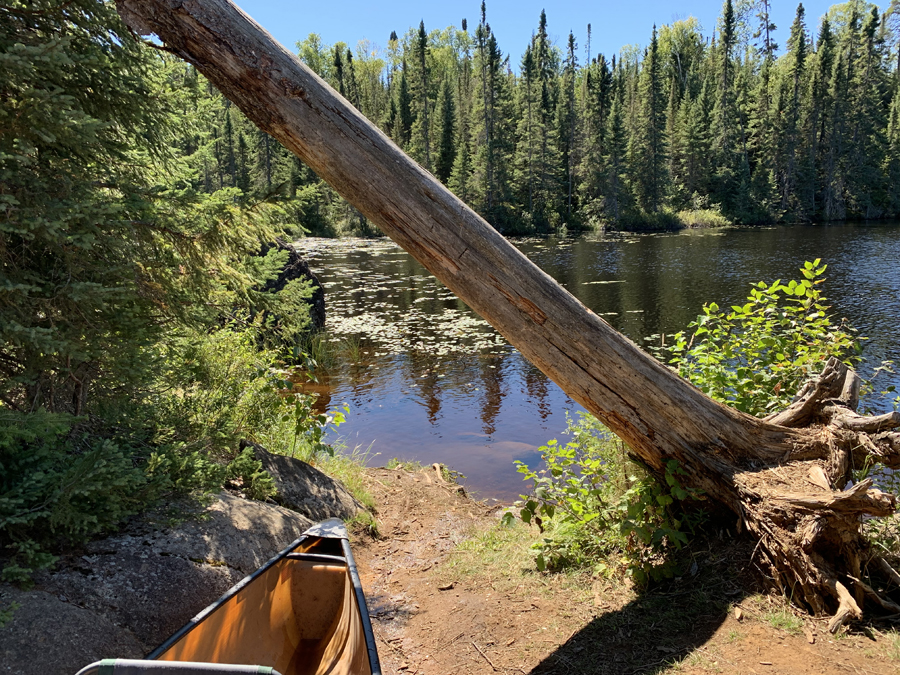 Snipe Lake Campsite 1