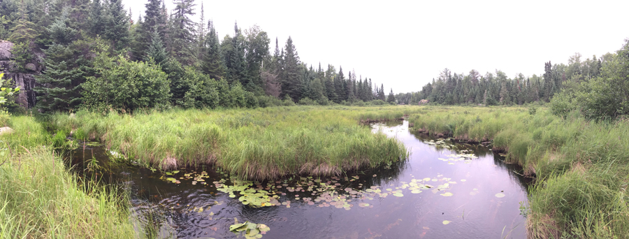 Thelma Creek to Thelma Lake Portage 4