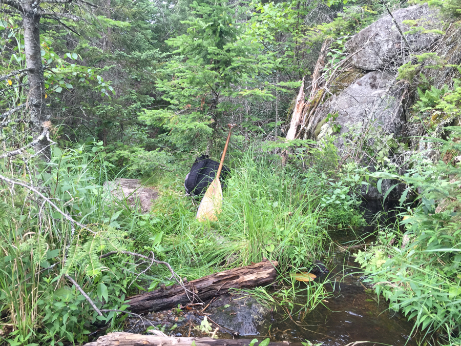 Thelma Creek to Thelma Lake Portage 3