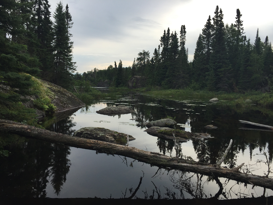 Thelma Creek to Thelma Lake Portage 2