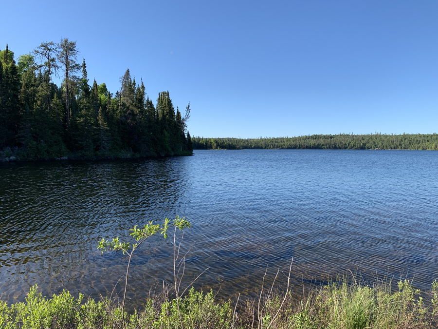 Tuscarora Lake Campsite 7