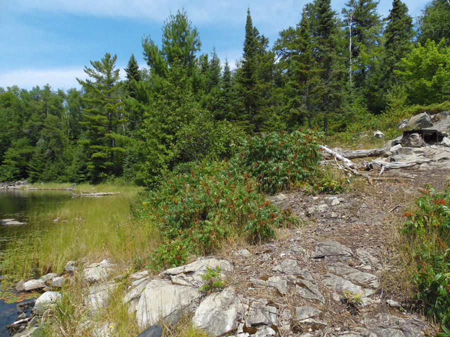 Ahsub Lake Campsite 1