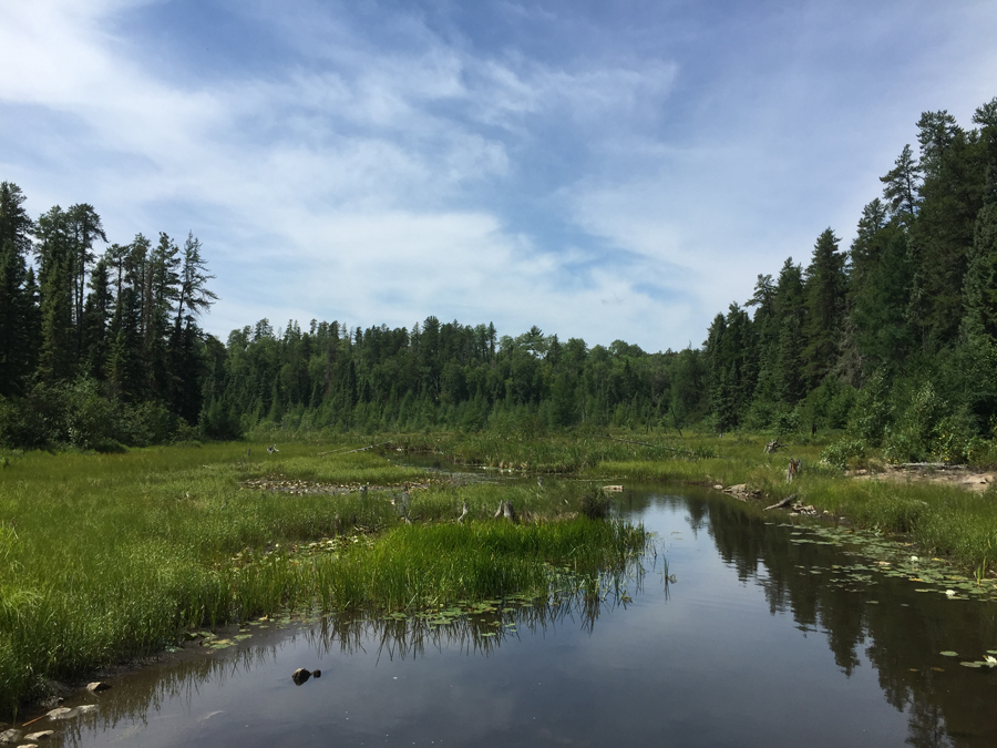 Ahsub Lake to Jitterbug Lake Portage 4