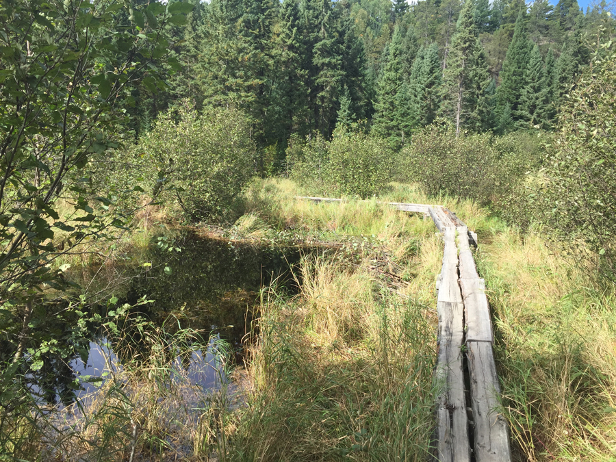 Wooden walkway across Spring Creek in the BWCA