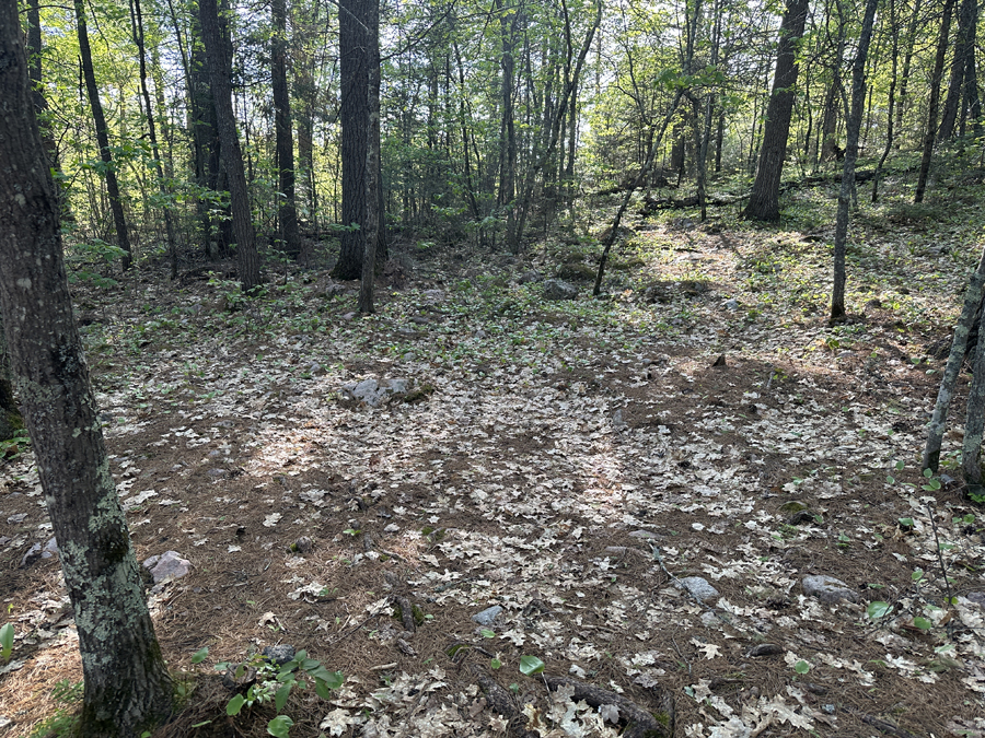 Angleworm Lake Campsite 5