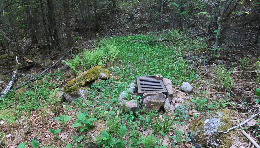 Angleworm Lake Campsite 2