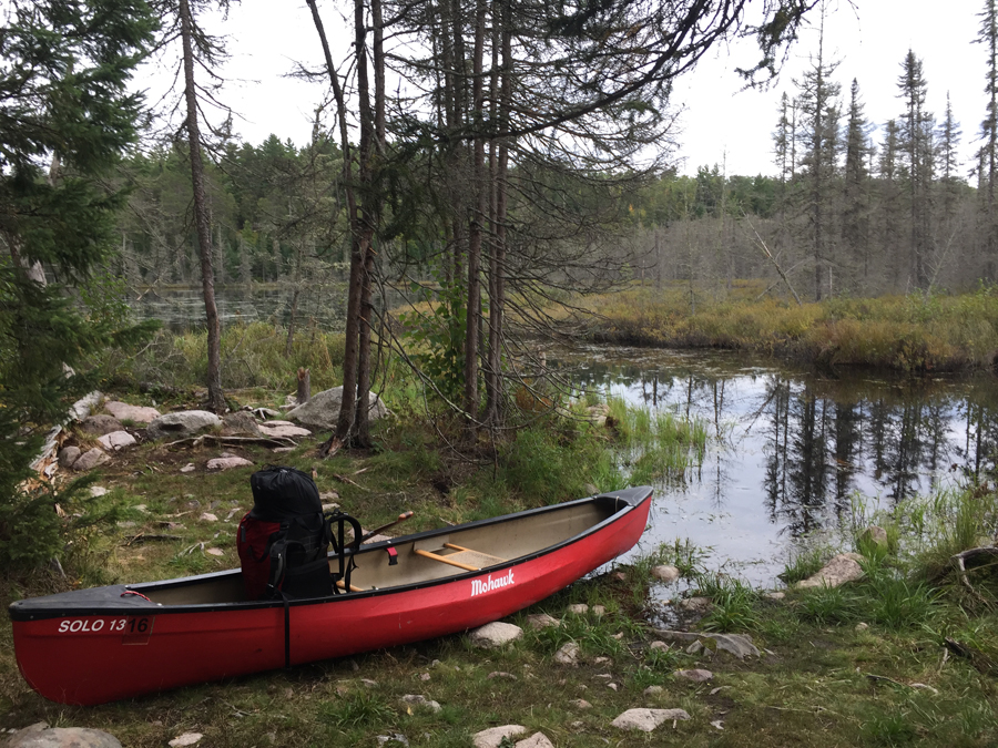 Portage landing on Angleworm Lake in the BWCA