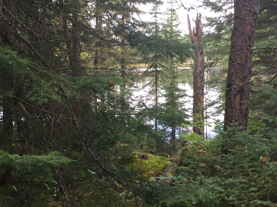 An unnamed lake along the Angleworm Lake Portage BWCA