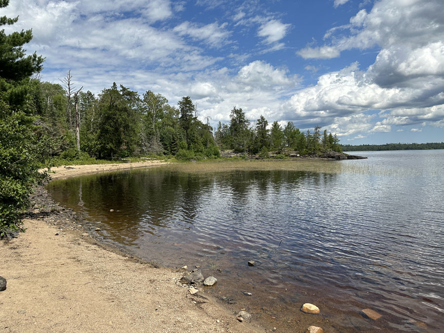 Bald Eagle Lake Campsite 8