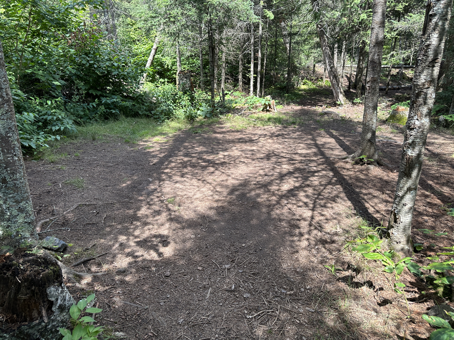 Bald Eagle Lake Campsite 6