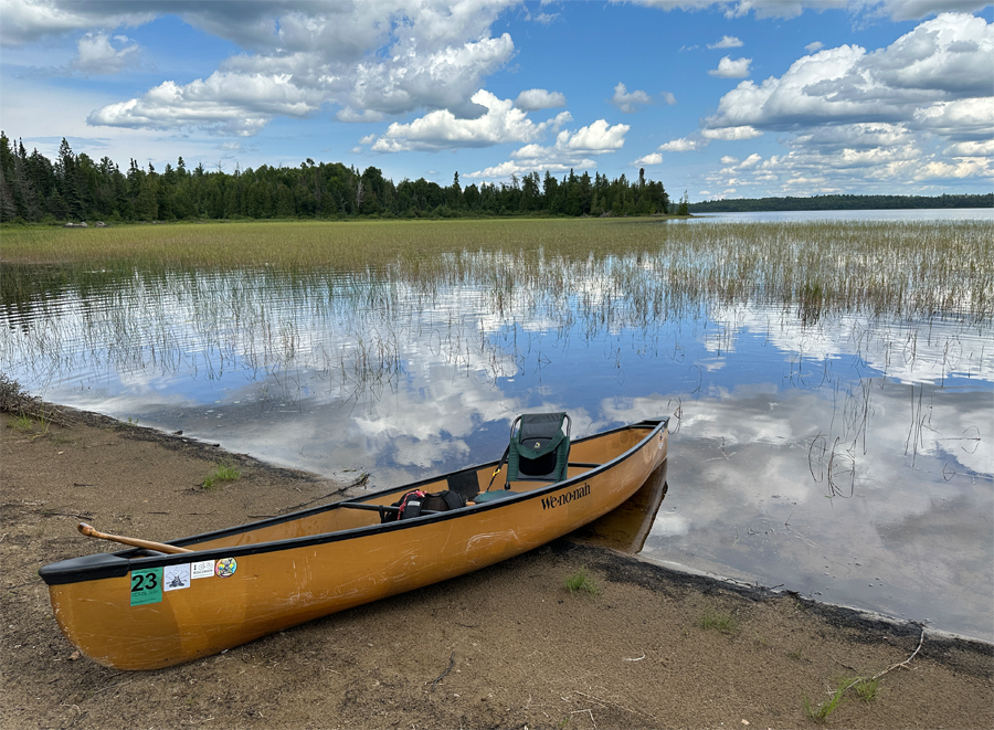 Bald Eagle Lake Campsite 1