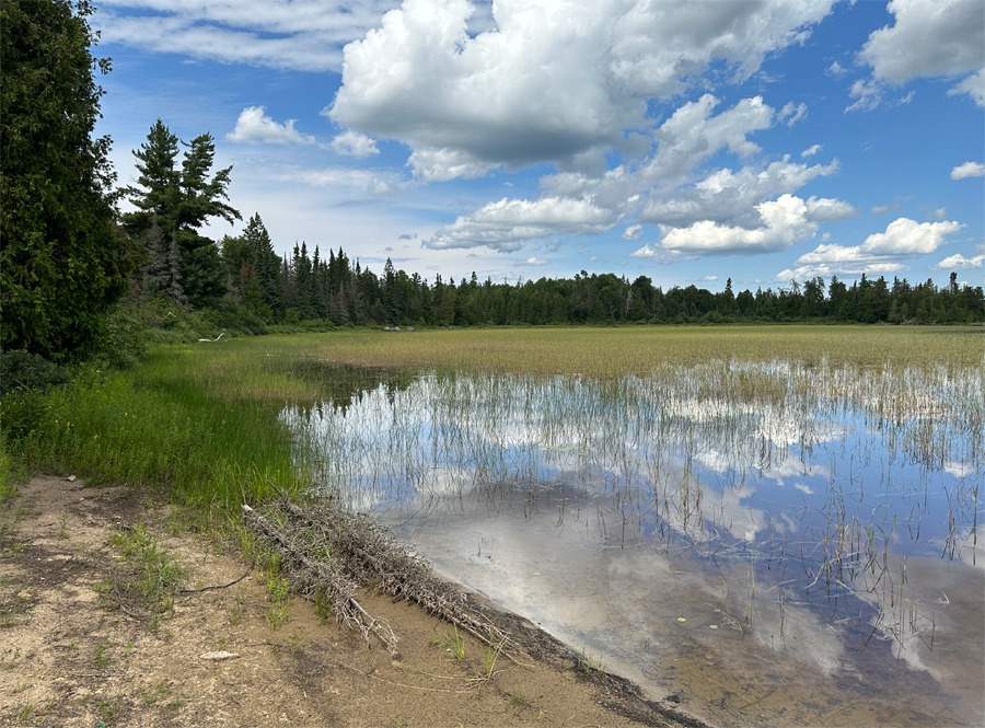 Bald Eagle Lake Campsite 6