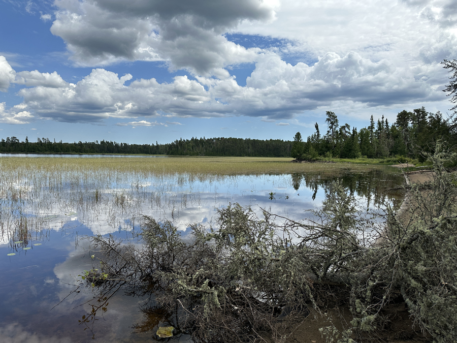 Bald Eagle Lake Campsite 7