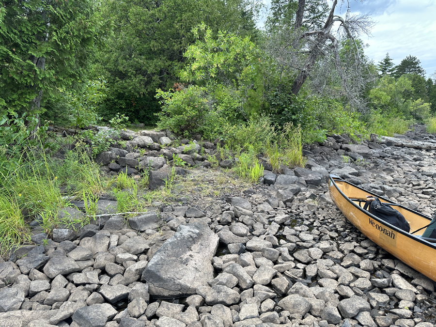 Bald Eagle Lake Campsite 2